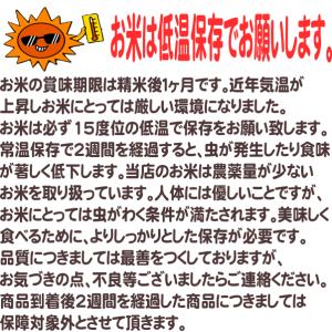 令和7年産 5kg 秋田産あきたこまちの詳細画像3