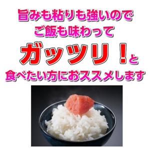 米 お試し米 お米 コシヒカリ 白米 茨城県 ...の詳細画像2