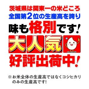 米 お試し米 お米 コシヒカリ 白米 茨城県 ...の詳細画像1
