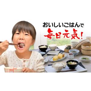 米 お試し米 お米 コシヒカリ 白米 茨城県 ...の詳細画像3