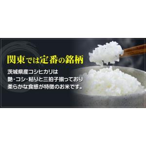 米 お試し米 お米 コシヒカリ 白米 茨城県 ...の詳細画像4