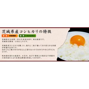 米 お試し米 お米 コシヒカリ 白米 茨城県 ...の詳細画像5