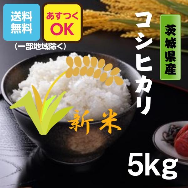 米 お米 5kg コシヒカリ 茨城県 白米 5年産 送料無料 一部地域除く