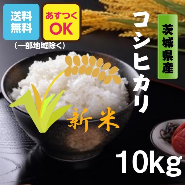 米 お米 10kg コシヒカリ 茨城県 白米 5年産 送料無料 一部地域除く