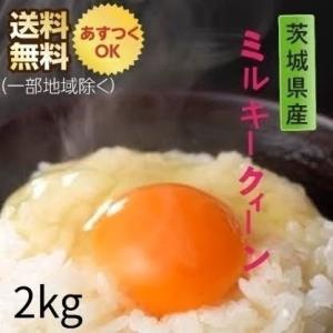 ミルキークイーン 新米 米 お米 10kg 5kg×2 ミルキークィーン 茨城県
