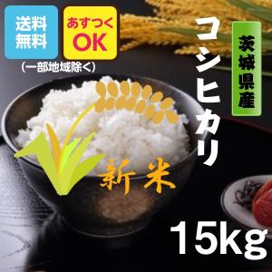 米 お米 15kg コシヒカリ 茨城県 白米 5年産 送料無料 一部地域除く｜okomenokimura