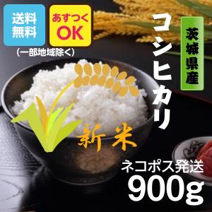 米  お試し米 900g コシヒカリ 茨城県産 5年産 全国送料無料｜okomenokimura