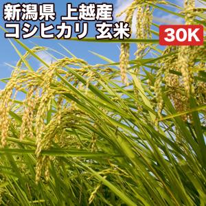 クーポンご利用で10％OFF 米 お米 30kg コシヒカリ 新潟県 上越産 令和4年産 玄米（5kg×真空パック6袋） 精米無料 真空パック無料 送料無料｜okomenoomise