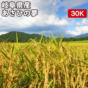 玄米 30kg 真空パック（5kg×6袋）岐阜県産 あさひの夢 令和4年産 精米無料 真空パック無料 送料無料｜okomenoomise