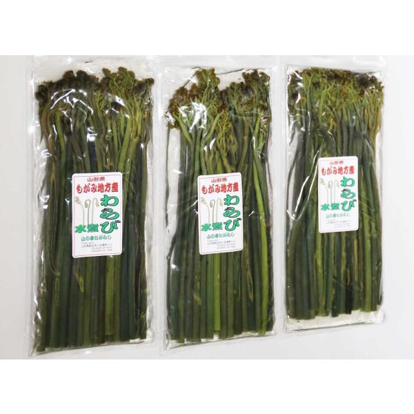 国産わらび水煮　200g ３パック　山形県産わらび使用　アク抜き済　さっと水洗してお浸しで！