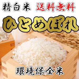 (送料無料)ひとめぼれ 精白米10kg 新米 令和４年産(環境保全米)農家直送｜okometyokubai