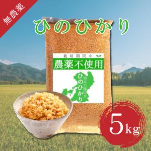 無農薬 玄米 5kg 5キロ コシヒカリ 送料無料 まとめ買い 熊本県産 新米