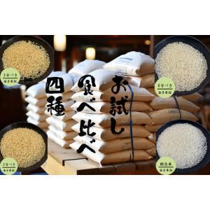 胚芽米 精白米 お米 彩のきずな 4kg 米 食べ比べ 埼玉県産 さいのきずな ４キロ