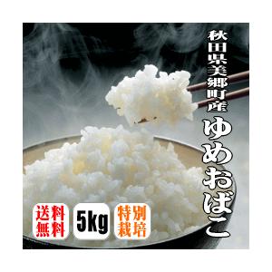 【送料無料】【特別栽培米】【令和2年産】「箱入り娘」秋田県美郷町産ゆめおばこ 5kg【北海道・沖縄県...