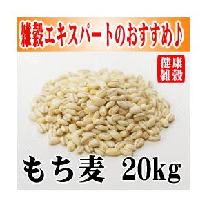 【業務用】【はくばく】もち麦 20kg【食物繊維】【βグルカン】【梅沢富美男のズバッと聞きます！】【...