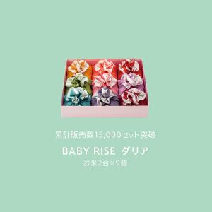 【今喜ばれる高級米】 八代目儀兵衛 送料無料 ...の詳細画像3