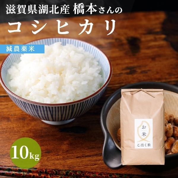 令和４年 滋賀県湖北産 橋本さんのコシヒカリ 10kg 【食味最高ランク特A ３年連続受賞・減農薬米...