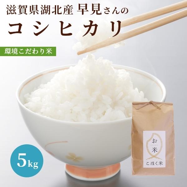 令和５年 滋賀県湖北産 早見さんのコシヒカリ 5kg 【食味最高ランク特A ３年連続受賞・環境こだわ...