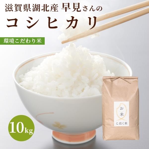 令和５年 滋賀県湖北産 早見さんのコシヒカリ 10kg 【食味最高ランク特A ３年連続受賞・環境こだ...
