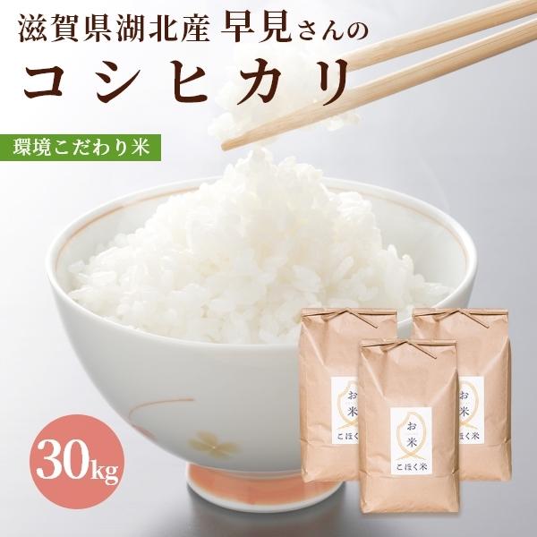 令和５年 滋賀県湖北産 早見さんのコシヒカリ 30kg 【食味最高ランク特A ３年連続受賞・環境こだ...