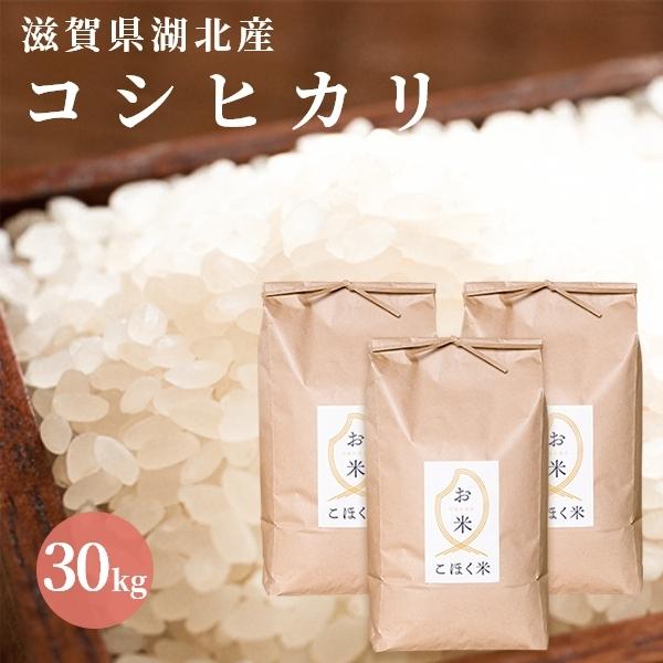 令和６年 滋賀県湖北産 湖北のコシヒカリ 30kg 　減農薬米　食味最高ランク特A 3年連続受賞歴　...