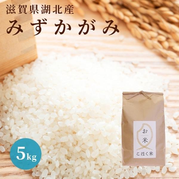 令和６年 滋賀県湖北産 湖北のみずかがみ 5kg 　食味最高ランク特A 4度受賞　環境こだわり米　特...