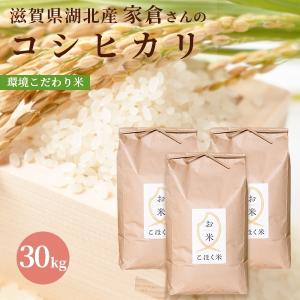 近江米コシヒカリ 30Kgの商品一覧 通販 - Yahoo!ショッピング