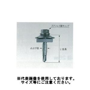 ステンキャップ 山座セット ハイスタパッキン 座金外径25mm 6×25 100本入｜oktools