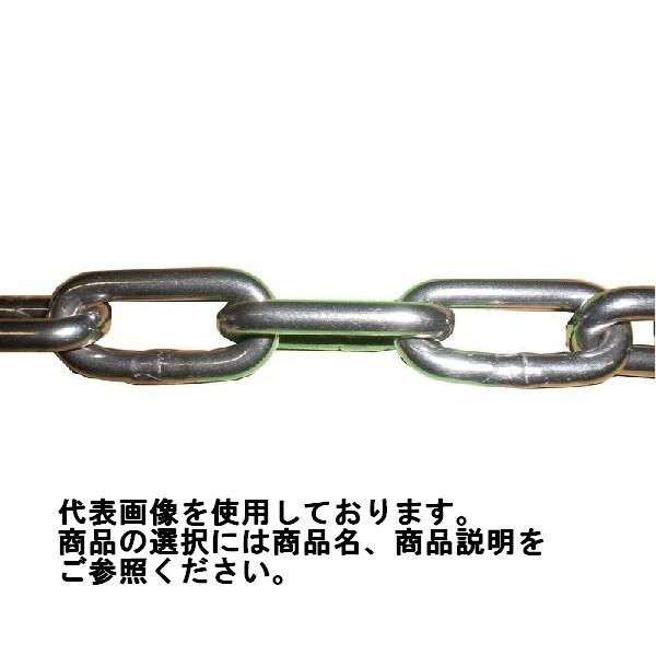 ステンレスチェーン 呼径5 線径4.5ミリ 30m ※他商品同時注文不可　同梱不可 [個別送料]