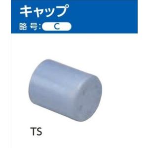 TS継手 キャップ （C) サイズ: 30