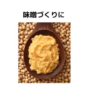 大豆 大粒 国産 福岡県産ふくゆたか 大粒1等...の詳細画像2