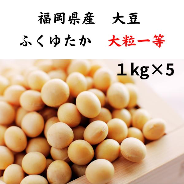 大豆　国産　福岡県産ふくゆたか　大粒１等　令和６年産　１kg×５袋　豆乳づくり　味噌づくり　煮豆　大...