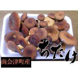 国産天然きのこ(キノコ） ちたけ（乳茸・チタケ） 徳用300g