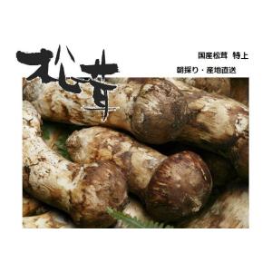 岩手県産 松茸　１０月１３日朝採れたて上物蕾から半開き ４０８ｇ 松茸 国産松茸 特上(蕾)約70g 南会津町産 岩手県産 マツタケ採りたて