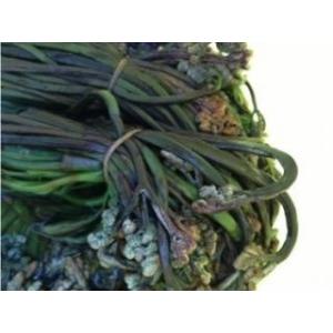 わらび 山菜 山形県小国町産 わらびの塩漬 1kg 送料込 : さくらんぼ