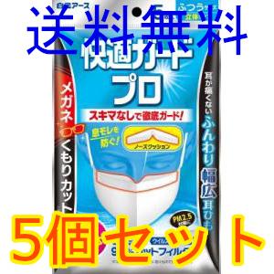 快適ガードプロ　立体タイプ　ふつうサイズ　５枚入　5個セット　白元アース　全国一律送料無料　２０２１...