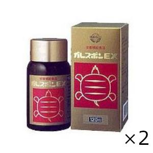 ガレスポンEX 120粒入 2個セット 岩谷産業...の商品画像