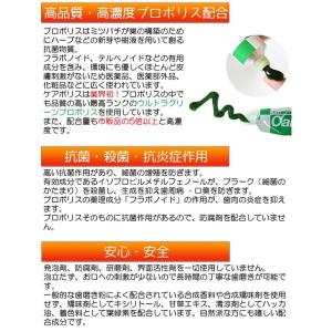 お試し 薬用歯磨 ケアポリス 7g ×1本の詳細画像4