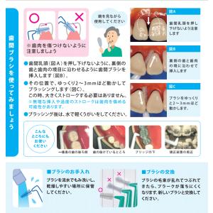 歯間ブラシ ライオン DENT.EX 4箱セッ...の詳細画像5