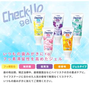 ライオン チェックアップジェル 60g×2本 ...の詳細画像2