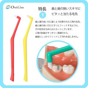 プラウト ( Plaut ) ワンタフト 1本...の詳細画像3