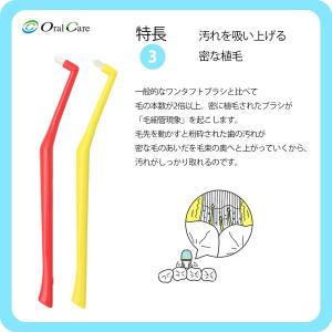プラウト ( Plaut ) ワンタフト 1本...の詳細画像5