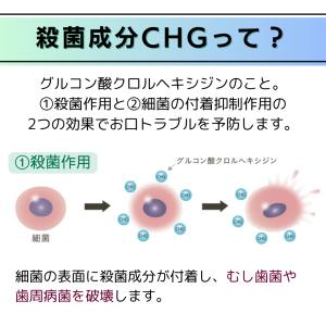 コンクールF 100ml 6本セット マウスウ...の詳細画像4