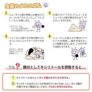 ロッテ 味長続き キシリトールガム ボトルタイ...の詳細画像5