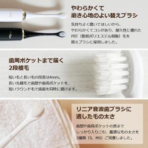 50%off「メール便送料無料」お口の専門店 ...の詳細画像2