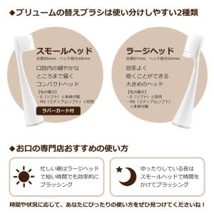 50%off「メール便送料無料」お口の専門店 ...の詳細画像3
