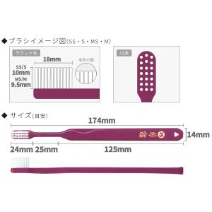 歯ブラシ 艶白(つやはく) St スタンダード...の詳細画像4