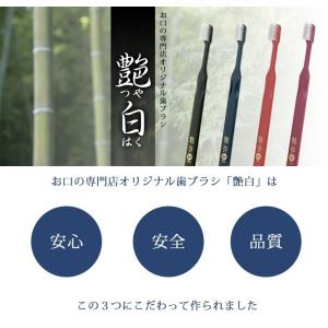 歯ブラシ 艶白(つやはく) St スタンダード...の詳細画像3