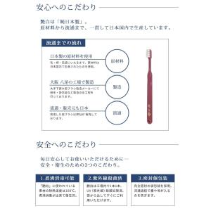 歯ブラシ 艶白(つやはく) St スタンダード...の詳細画像4