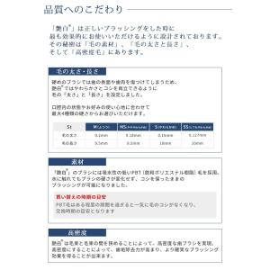 歯ブラシ 艶白(つやはく) St スタンダード...の詳細画像5